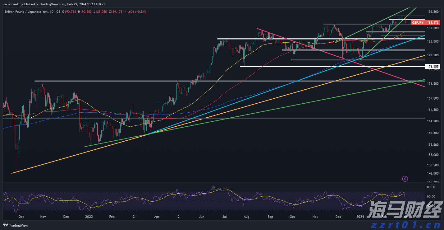 港北区：拼搏实干出新彩
